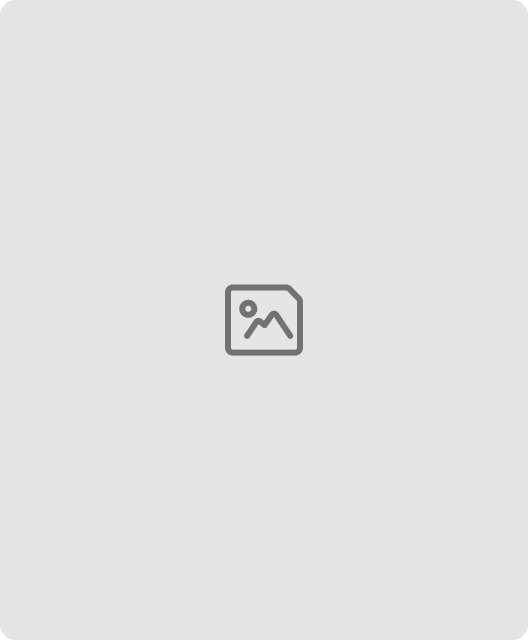 Acer Chromebook